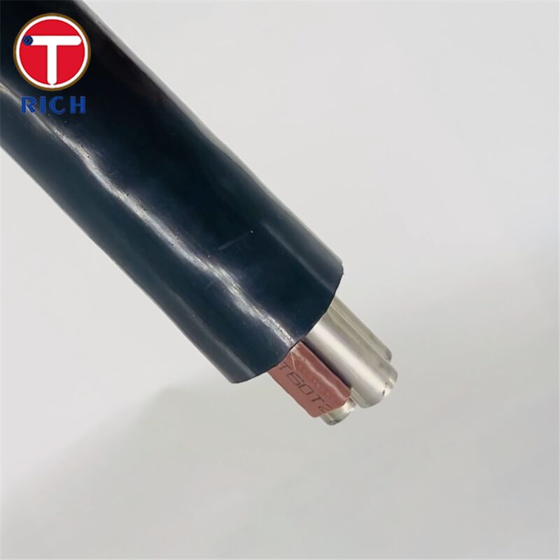 Pipa Baja Tahan Karat Multi-Inti Tanpa Sambungan dengan Lapisan Plastik untuk Pembuatan Kapal dalam Grade 304L/316L/Duplex 2205 dan Teknik Tarik Dingin/Gulung Panas